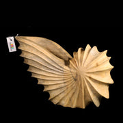 Wooden Sea Shell