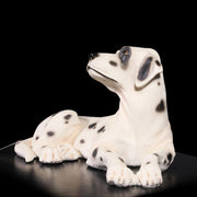 Dalmation Dog Artifact