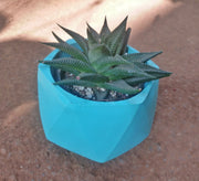 Conical Flowerpot